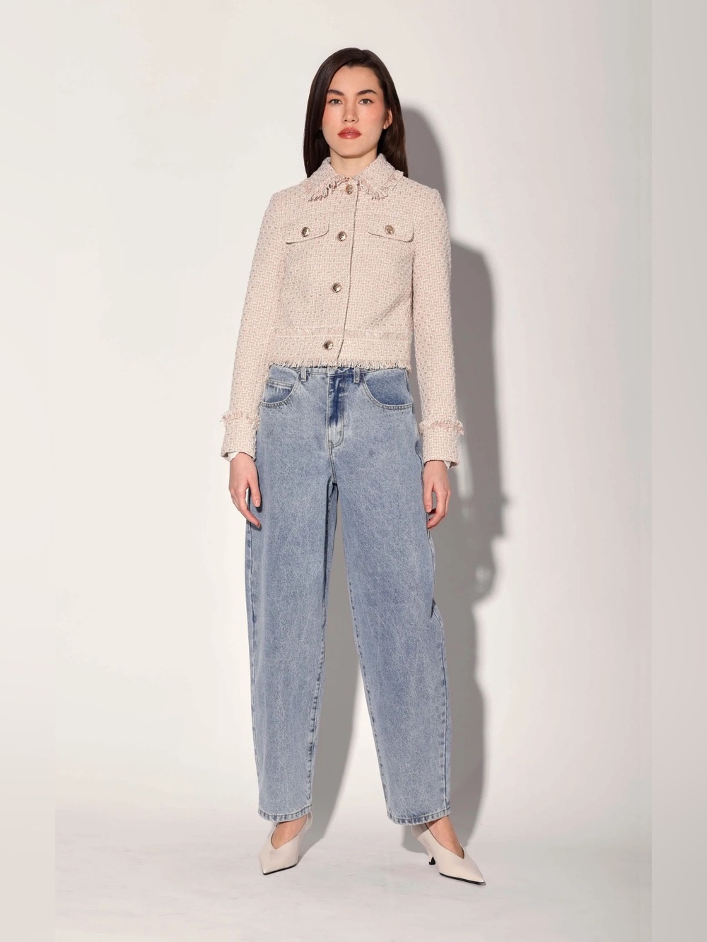 Walter Baker Declan Jacket, Baja Tweed $298 NWT